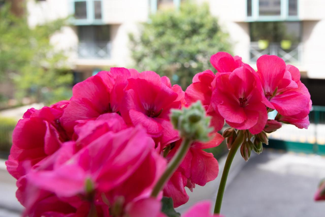 Boutique Apartment La Lavande Free Parking 10 Min Walk Ніцца Екстер'єр фото